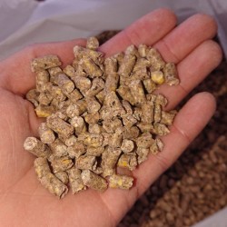 Паливна гранула з відходів кукурудзи 