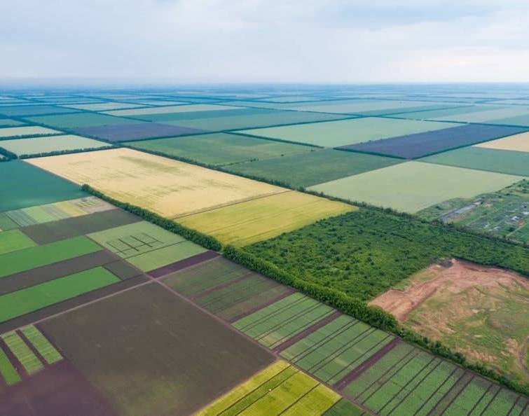 Ціна господарчої землі в Україні може сягнути до 45 тис. за гектар