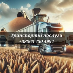 Зерновози  Послуги з перевезення зерна 