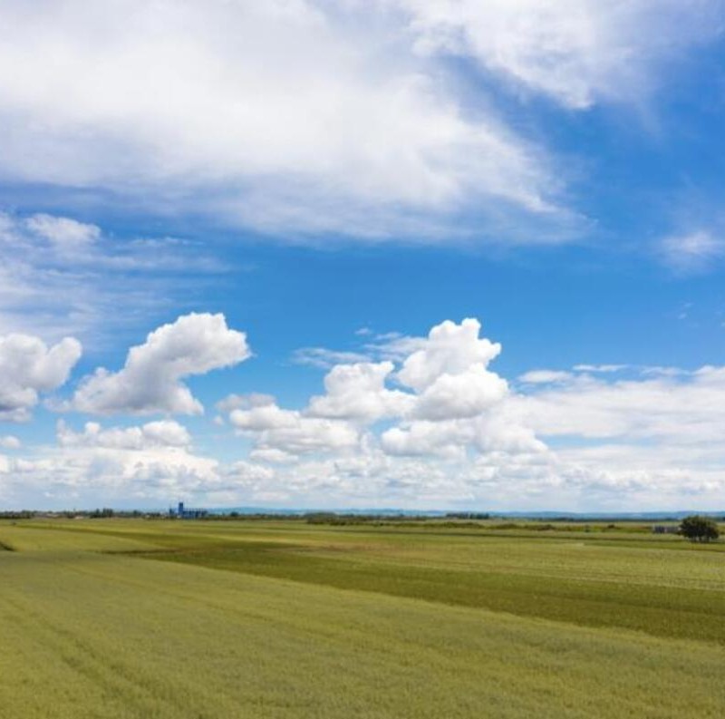 У продажу землі сільськогосподарського призначення СГ по всій Україні