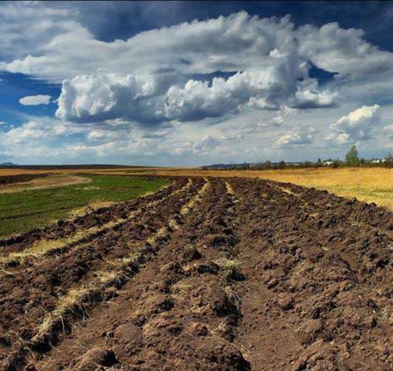 У продажу землі сільськогосподарського призначення СГ по всій Україні