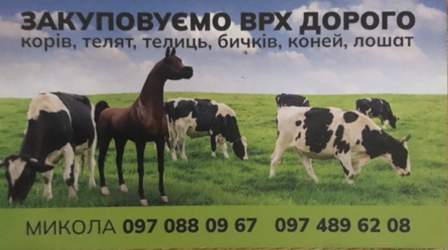 Закупивля худоби 