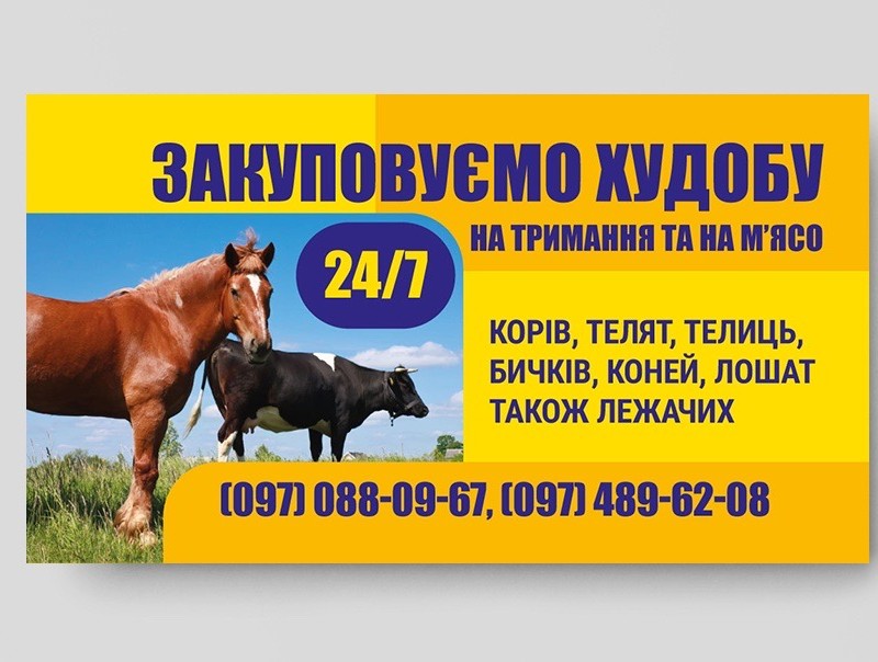 Закупивля худоби 