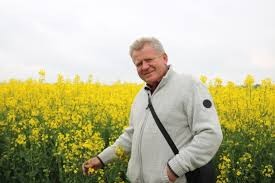 Купимо Ріпак Пшеницю  Кукурудзу Сою Соняшник  Самовивіз по Україні