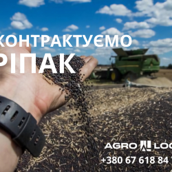 !!!КУПИМО РІПАК!!!  DAP Мостиська 21500 грн/ 425Є