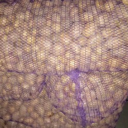 Картопля дрібна