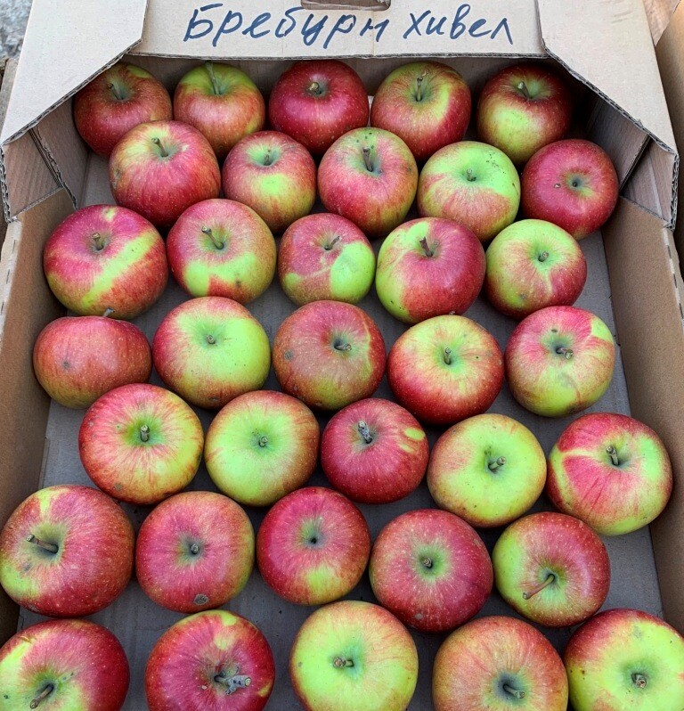 Продам яблоки оптом   Цена от 5 - до 7 грн 