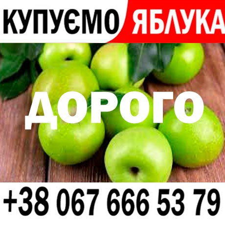 Куплю яблука на переробку  на сік - ціна 8 3 грн   ПДВ - від 15 т - Готівка та Безготівка  