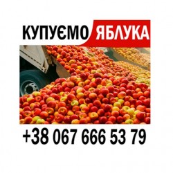 Куплю яблука на переробку  на сік - ціна 6 грн   ПДВ - від 15 т - Готівка та Безготівка  