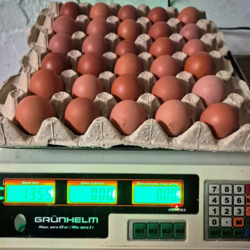 Продам яйця курячі оптом  КРЕМові і Коричневі 