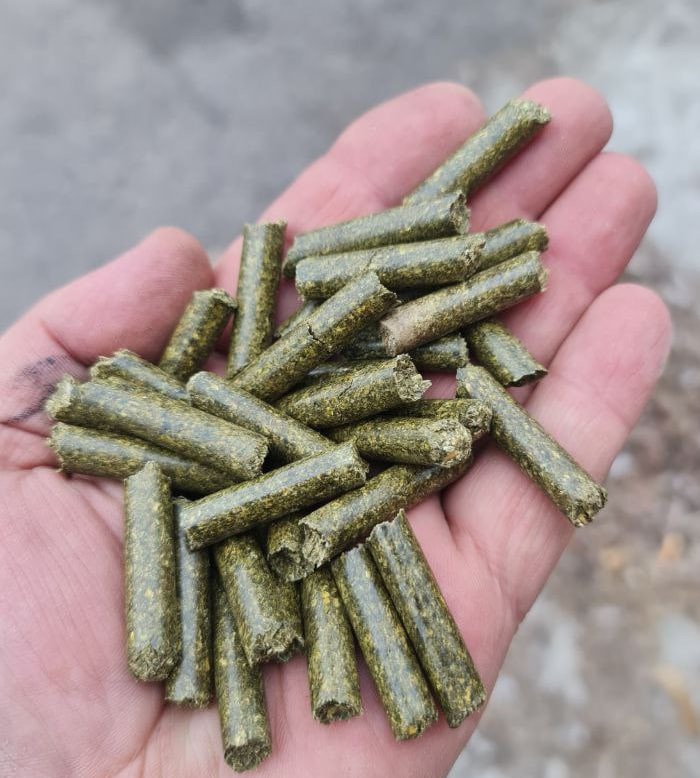 Гранульована люцерна