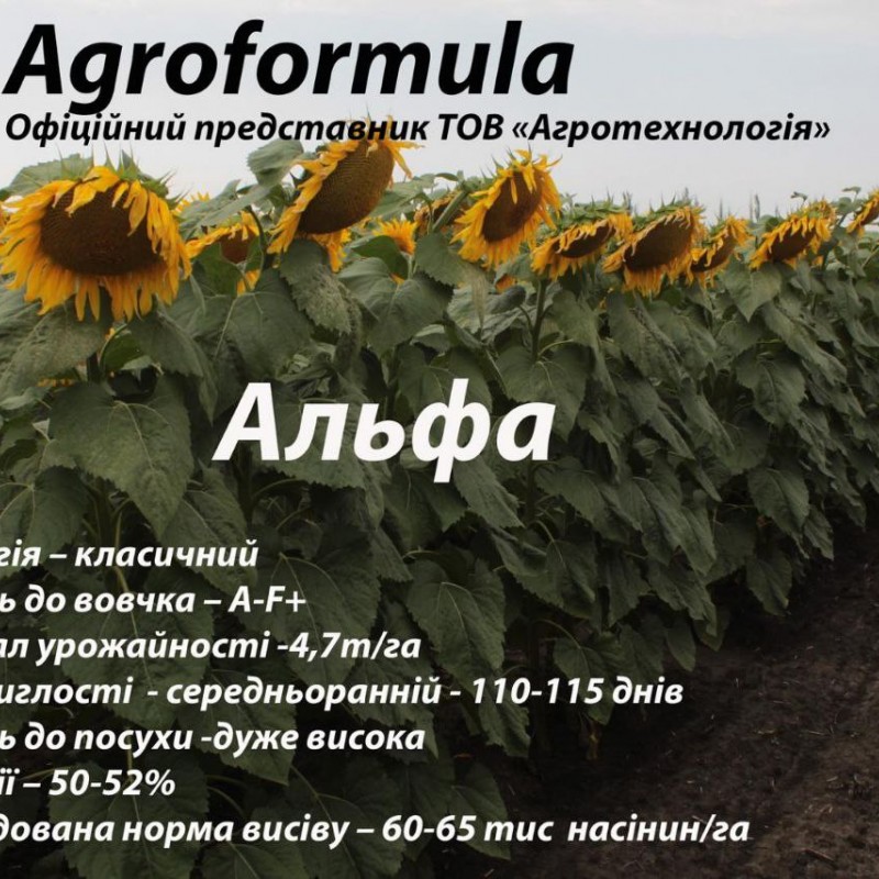Торгова марка Агроформула пропонує вам насіння соняшнику  мінеральні добрива  та засоби захисту рослин
