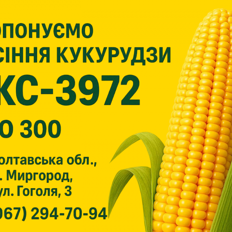 Пропонуємо вам насіння соняшнику мінеральні добрива та засоби захисту рослин