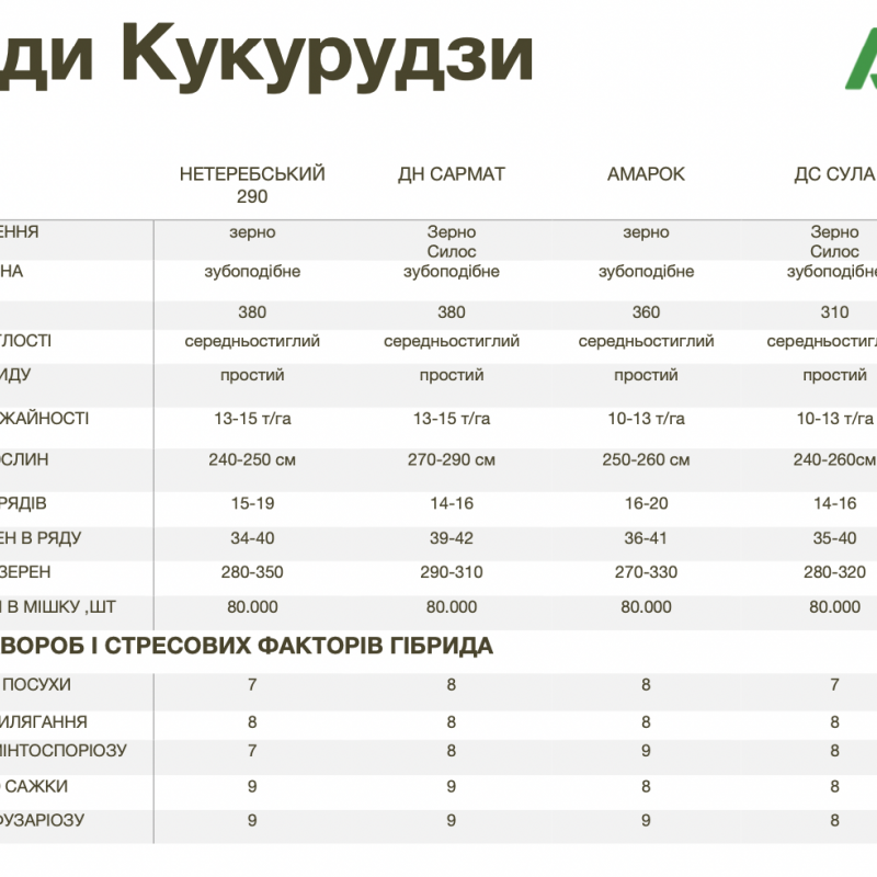 Високоякісний посівний матеріал кукурудзи 