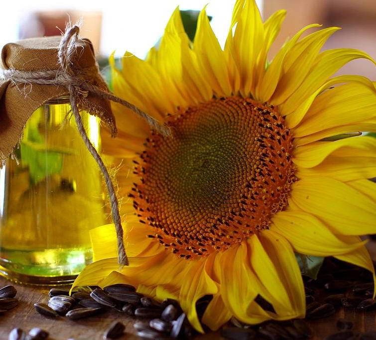 Prices for Ukrainian sunflower oil are growing due to a shortage of raw materials - Refinitiv