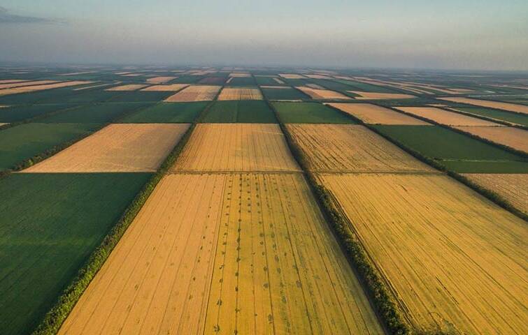 В Украине будет внедрена система контроля земельных операций