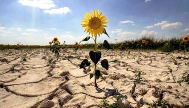 Україна – в топ-5 країн за ризиком посухи