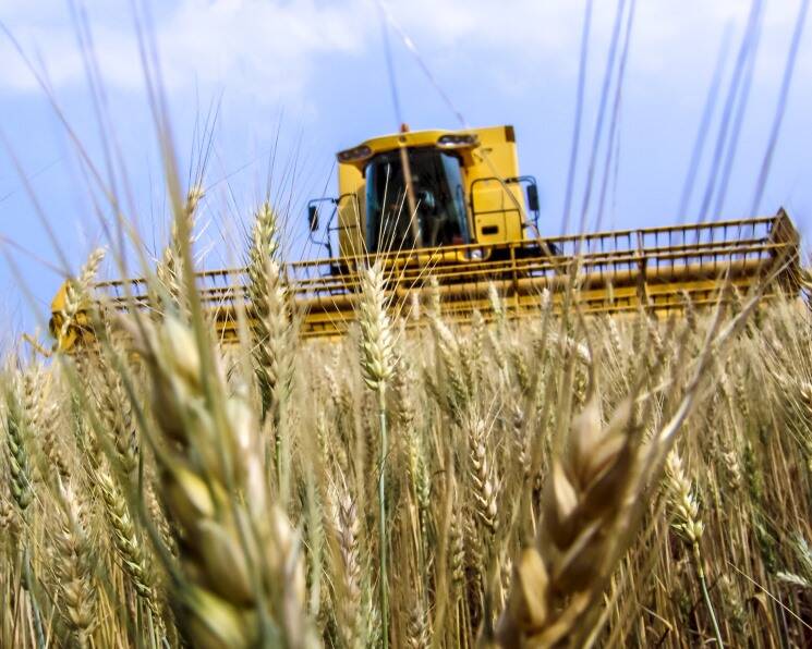 Rainy July Weather May Reduce Grain Yields