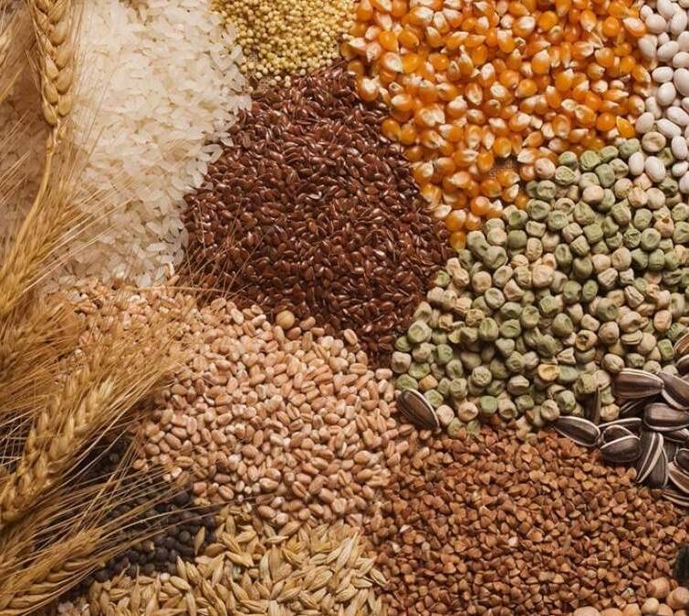 Prices for the Production of Agricultural Products in Ukraine Continue to Grow