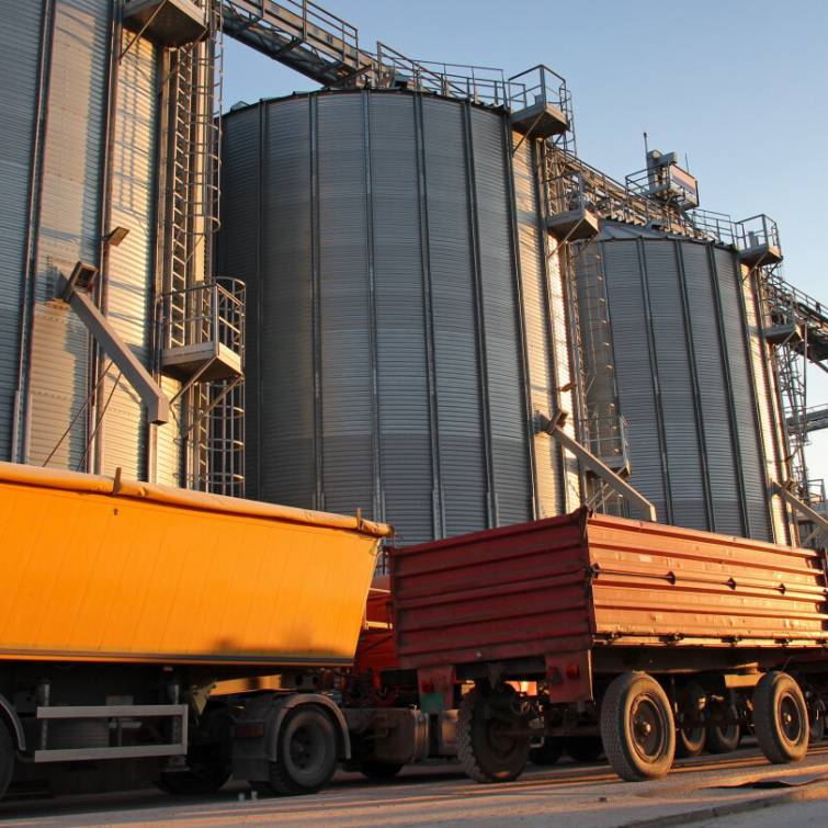 У Румунії недостатньо транспортних потужностей для експорту зерна з України