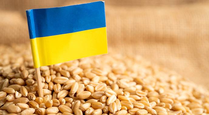 Египет купил первую партию пшеницы из Украины с февраля 2022 года