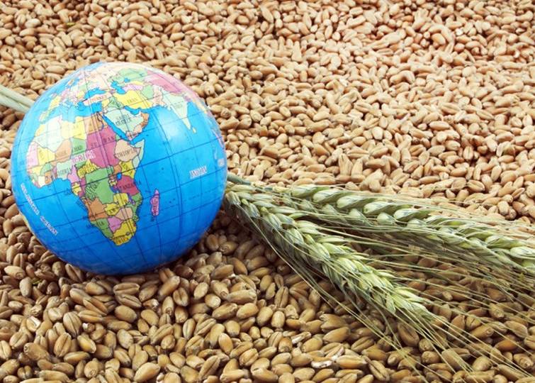 Украина сохранила место в ТОП-10 крупнейших мировых производителей пшеницы