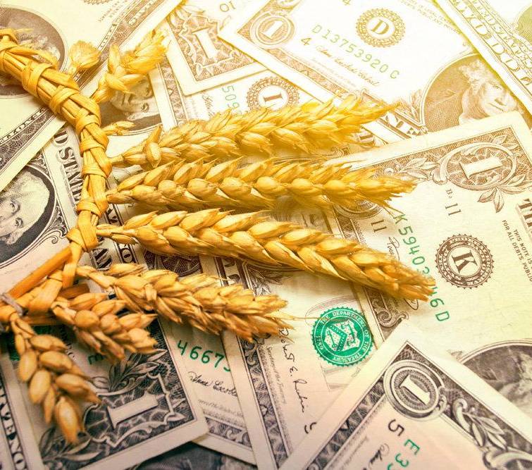 В Украине установили особые условия экспорта зерна