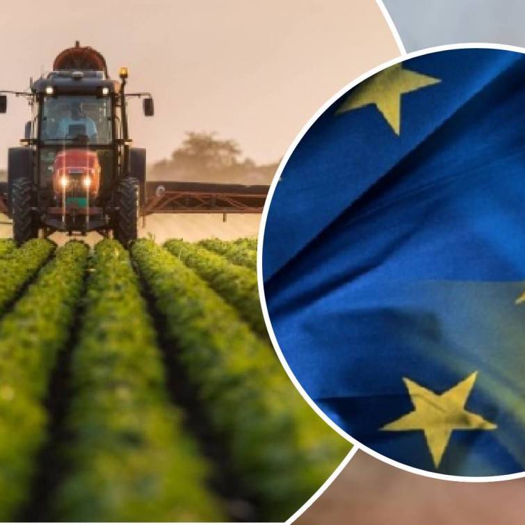 На долю аграрной отрасли Украины приходится 40% объема имплементации законодательства ЕС