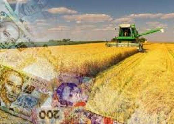 A new grain procurement mechanism may be introduced in Ukraine