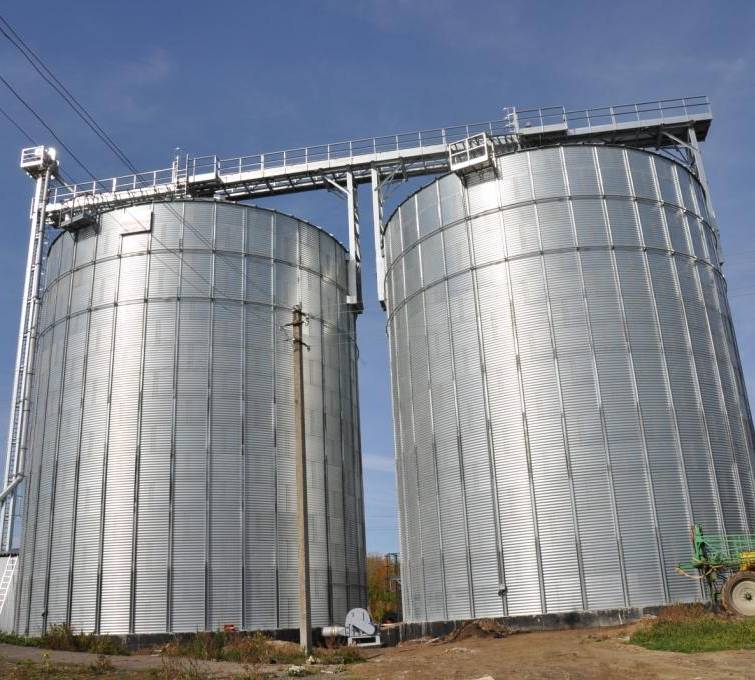 Рекордные остатки зерновых прогнозируются в Украине