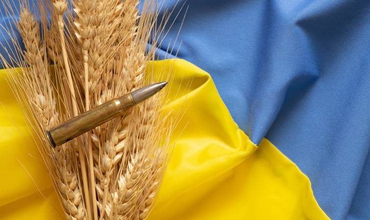 Второй саммит Grain from Ukraine запланирован на осень-2023