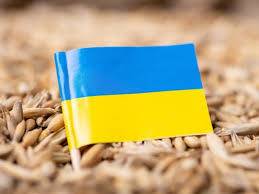 Grain initiative brings Ukraine $1 billion per month
