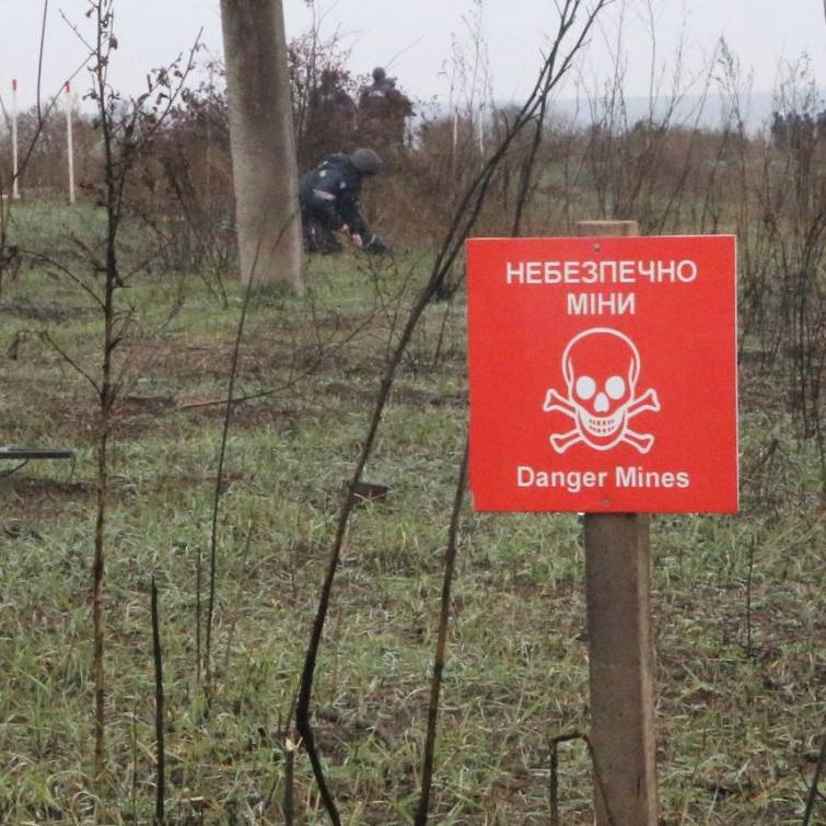У Міністерстві оборони України схвалили план заходів із розмінування сільськогосподарських земель для проведення посівної  
