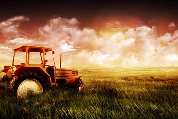 Experts expect a decrease in production volumes in the Ukrainian agricultural sector