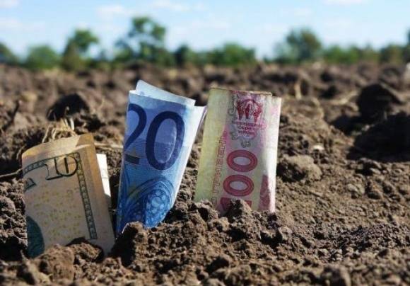 Сільськогосподарські угоддя додали у вартості 20%  Agricultural land added 20% in value