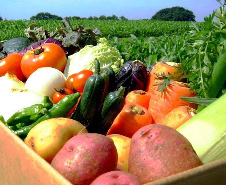 Агровиробництво в Україні може скоротитися на 10%