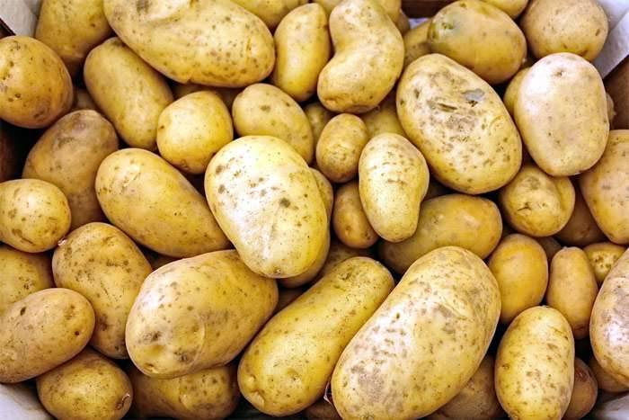 Ukrainian potatoes will receive their own state standard