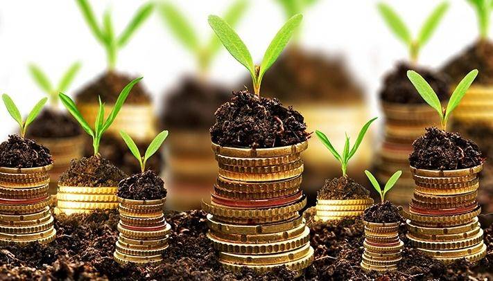 Agrarians of Kyiv Region received more than all development loans and under the 