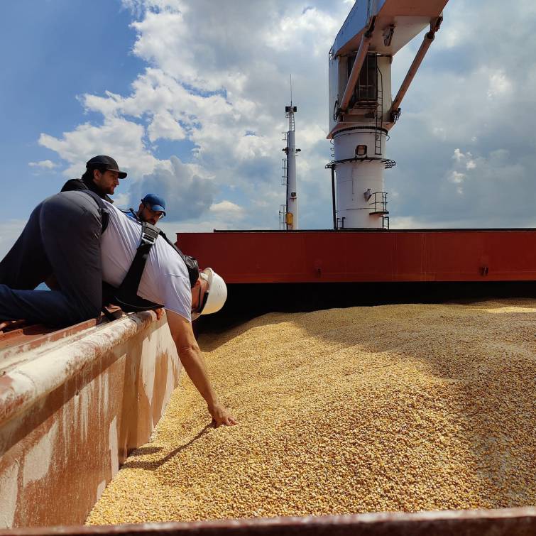 ООН: «зерновое соглашение» приостановлено из-за действий РФ