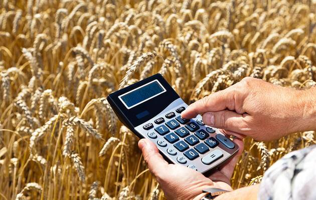 Ukrainian farmers have started harvesting