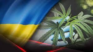 Легалізація канабісу: що, як, коли, навіщо