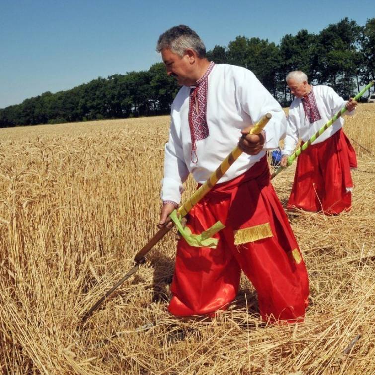 Украинский АПК: выжить вопреки...