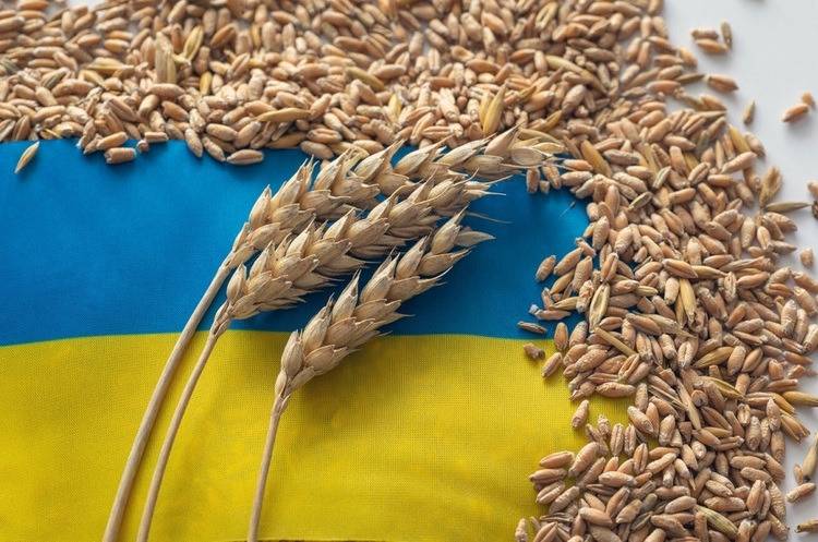 УЗА збільшила прогнозний врожай зернових в Україні майже на 8 млн тонн