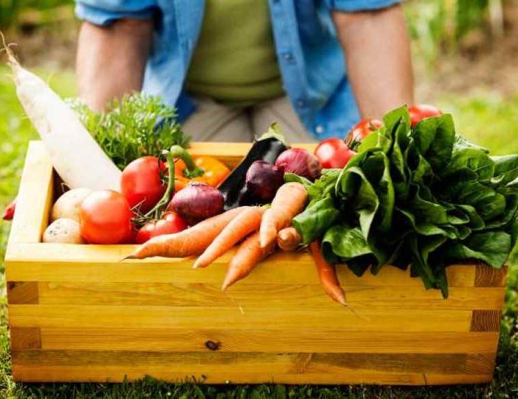 З початку листопада в Україні дорожчають овочі