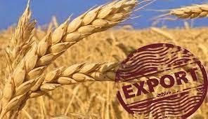 Illegal grain exports dropped UAH 134 billion