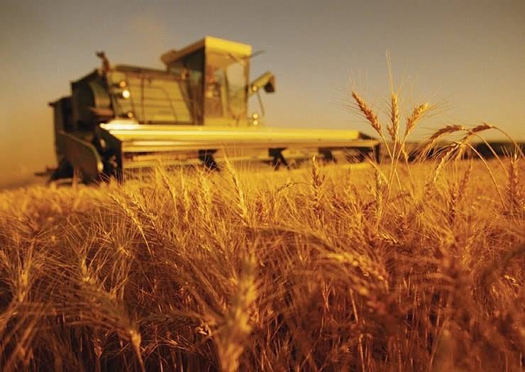 За свята, у перші дні нового року, українські аграрії експортували 0,6 млн тон зерна