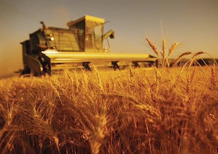 Ukrainian farmers exported 0.6 million tons of grain in the first days of the new year