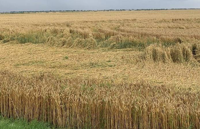 В Украине планируют вернуть в экономическое использование более 500 тыс. га сельхозземель