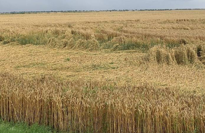 В Україні планують повернути в економічне використання понад 500 тис. га сільгоспземель