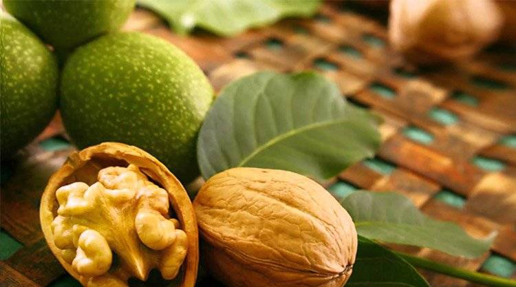 Ukraine took 7th place in the top ten producers of walnuts